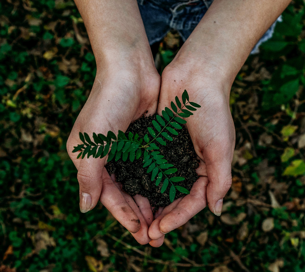 sustainable tattoo